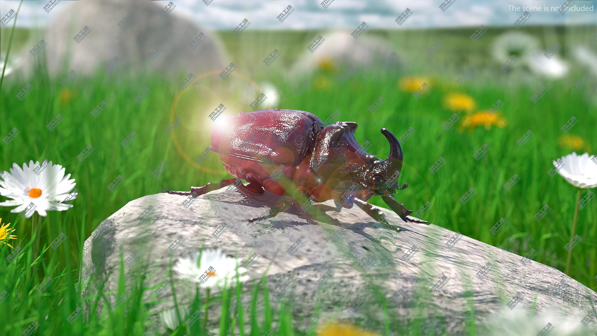 images/goods_img/202104023/Oryctes Nasicornis Rhinoceros Beetle Standing 3D model/4.jpg